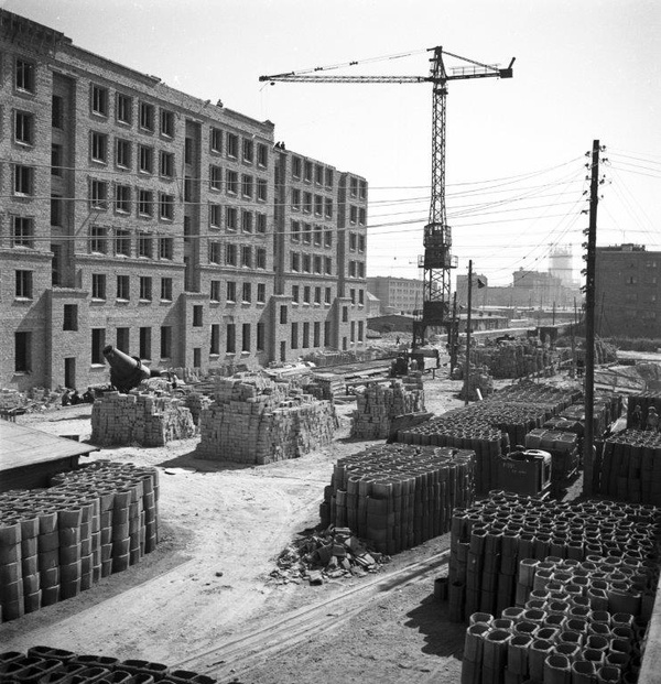 Budowa osiedla Muranów w Warszawie, 1953 rok (fot. Zbyszko Siemaszko; NAC)