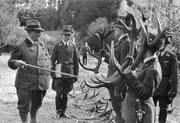 Göring ogląda poroże upolowanego jelenia, 1939 rok (Bundesarchiv, Bild 146-1979-145-04A / CC-BY-SA 3.0)